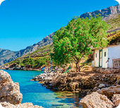Corse