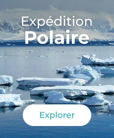 Expédition Polaire
