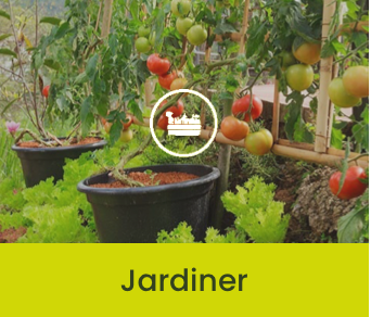 Jardiner