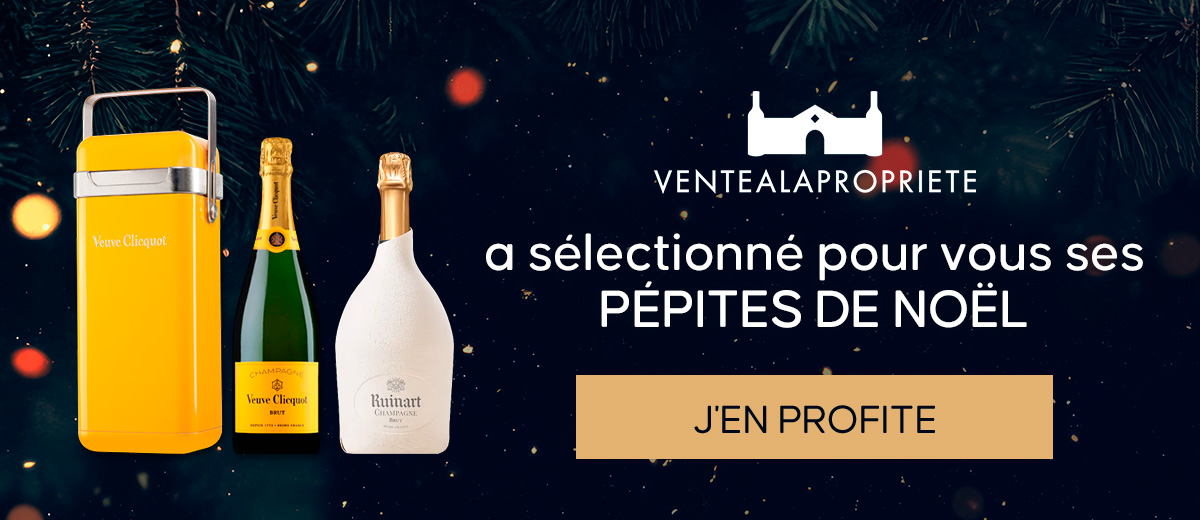 VENTEALAPROPRIETE a sélectionné pour vous ses PÉPITES DE NOËL